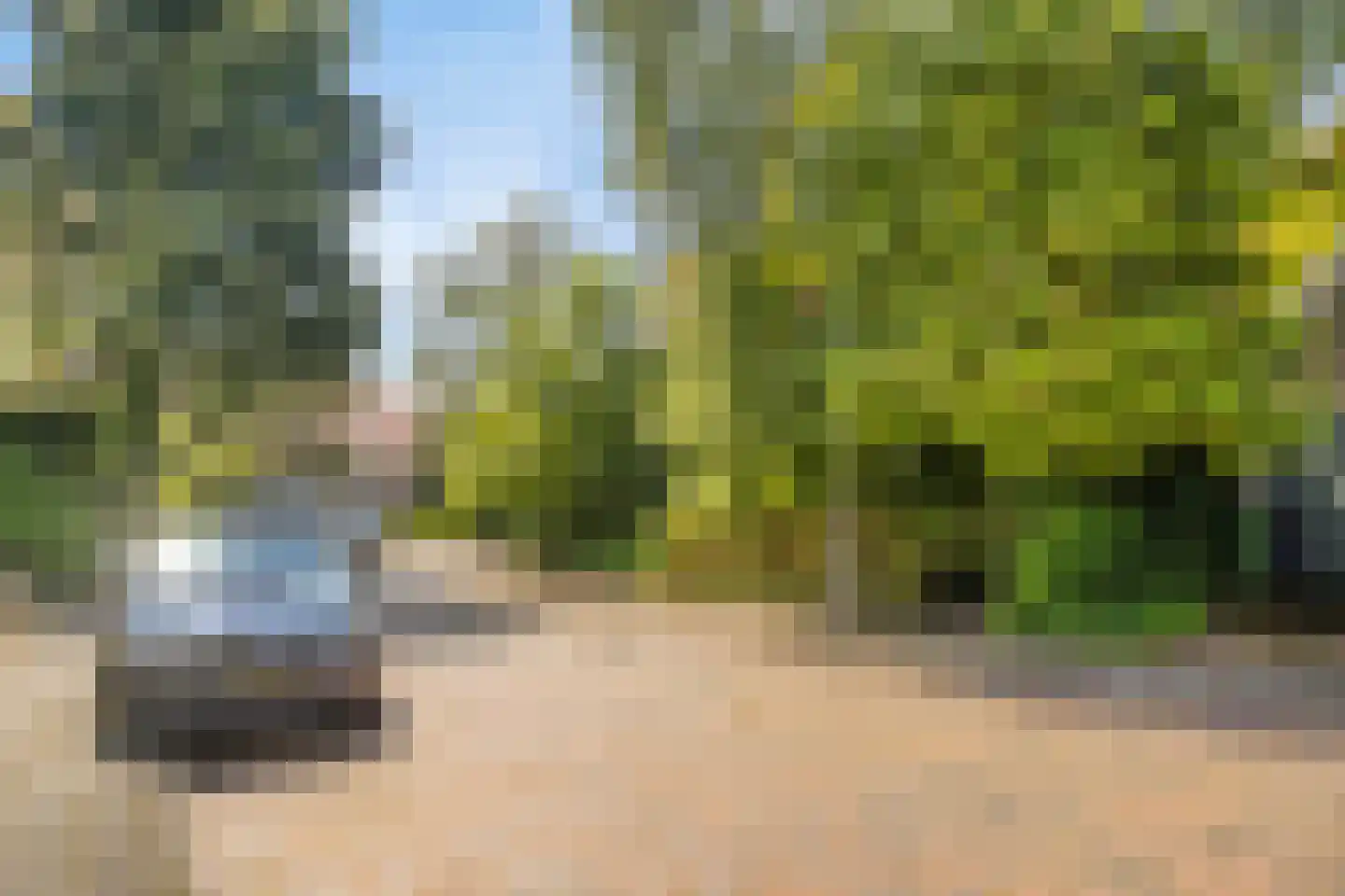 Albert Cuypstraat 1 Arnhem thumbnail 46