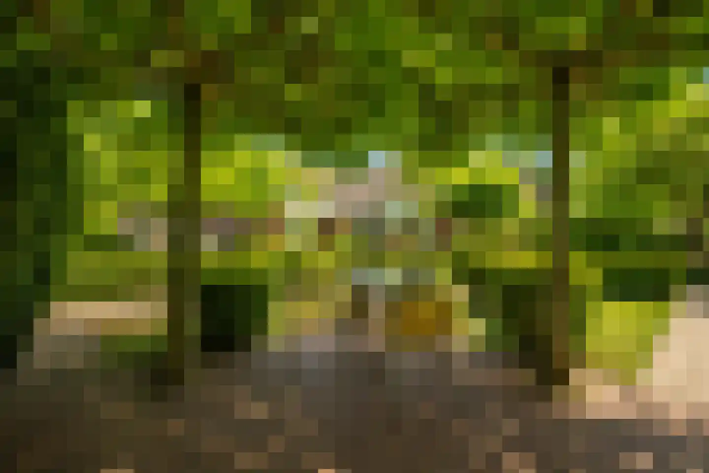 Albert Cuypstraat 1 Kerkrade thumbnail 32