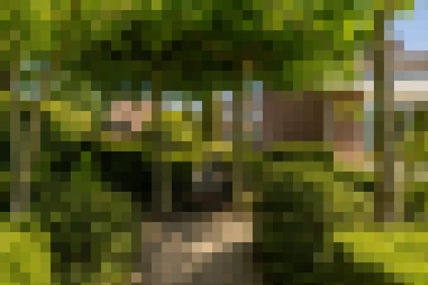 Albert Cuypstraat 1 Kerkrade thumbnail 33