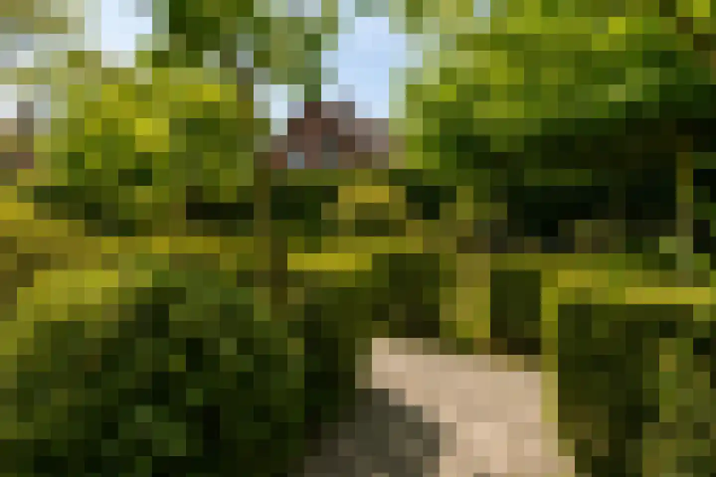 Albert Cuypstraat 1 Kerkrade thumbnail 34