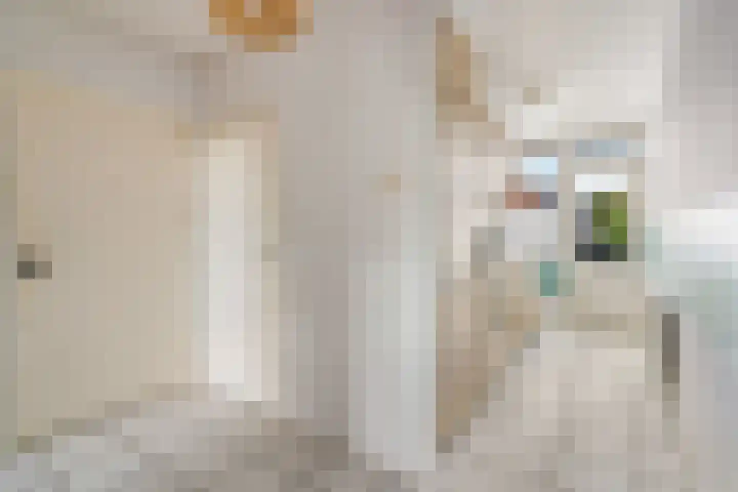 Albert Cuypstraat 10 Capelle aan den IJssel thumbnail 25