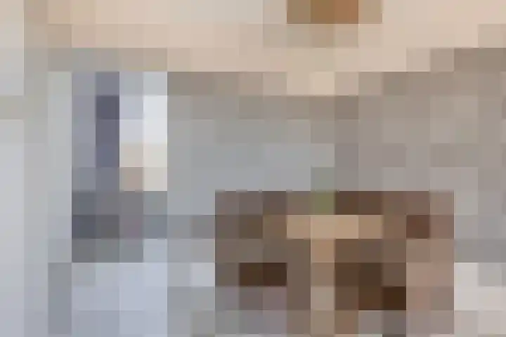 Albert Cuypstraat 107 Capelle aan den IJssel thumbnail 10