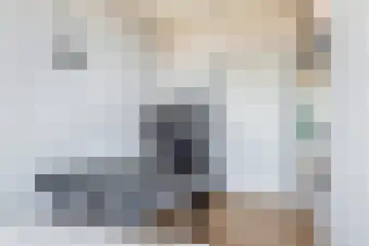 Albert Cuypstraat 107 Capelle aan den IJssel thumbnail 16
