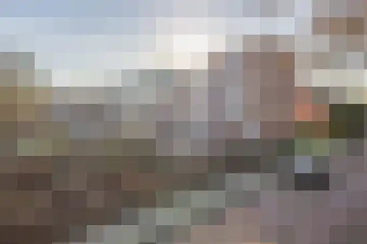 Albert Cuypstraat 107 Capelle aan den IJssel thumbnail 34