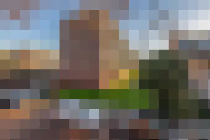 Albert Cuypstraat 107 Capelle aan den IJssel thumbnail 36