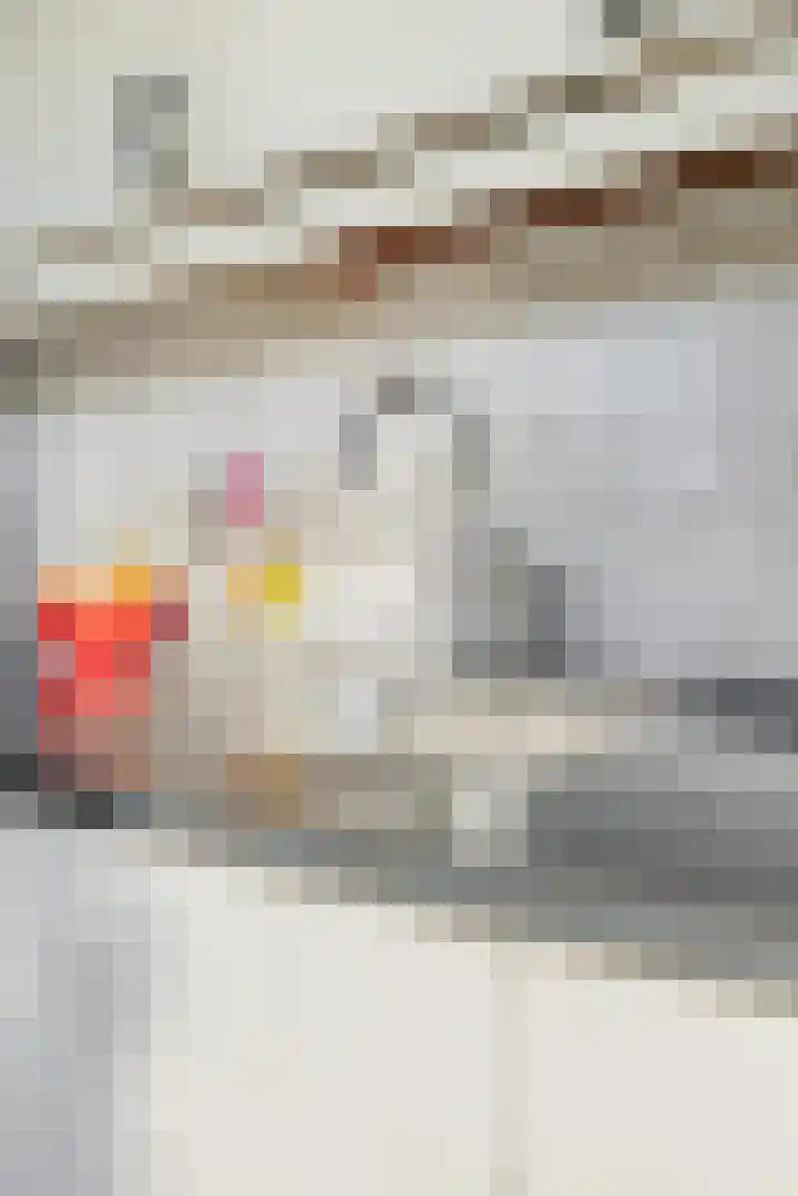 Albert Cuypstraat 107 Capelle aan den IJssel thumbnail 39