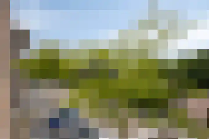 Albert Cuypstraat 124 Venlo thumbnail 23