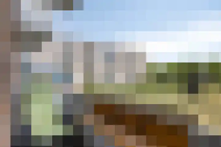 Albert Cuypstraat 124 Venlo thumbnail 27