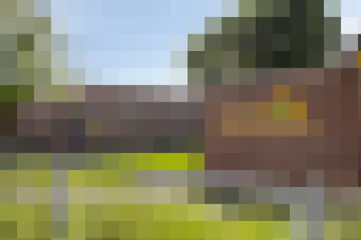 Albert Cuypstraat 124 Venlo thumbnail 33