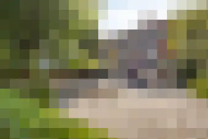 Albert Cuypstraat 124 Venlo thumbnail 34