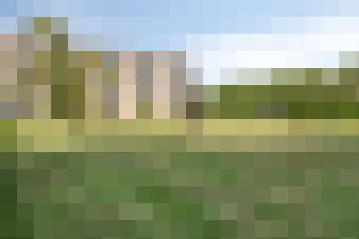 Albert Cuypstraat 124 Venlo thumbnail 35