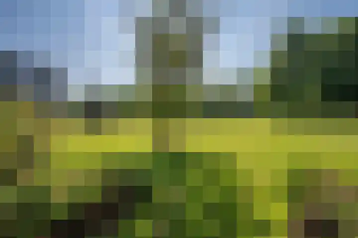 Albert Cuypstraat 126 Venlo thumbnail 31