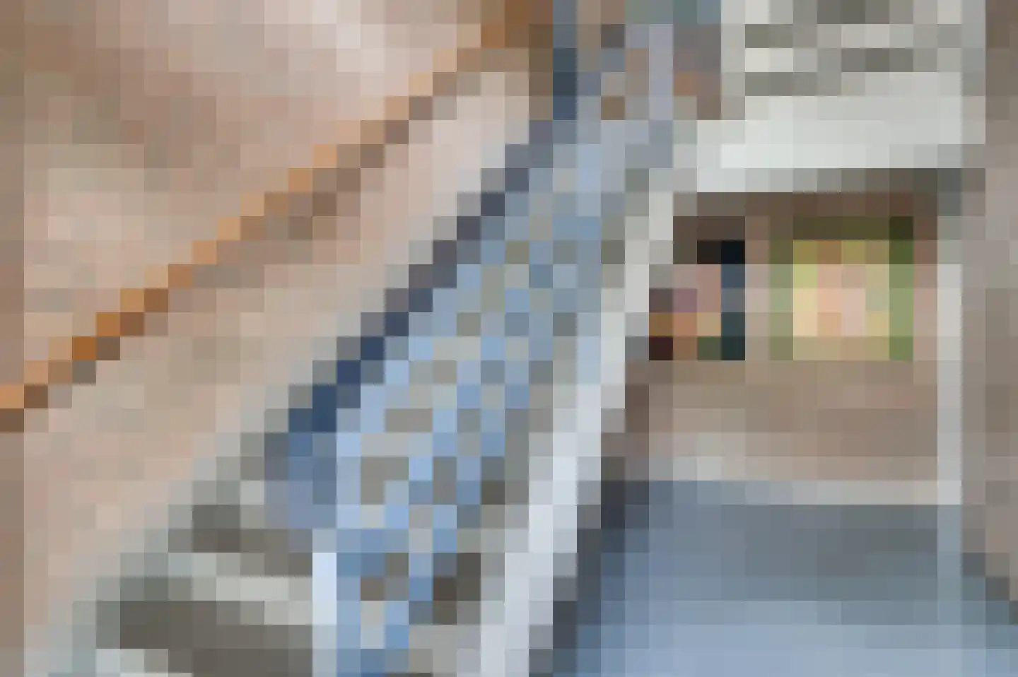 Albert Cuypstraat 128 Venlo thumbnail 5
