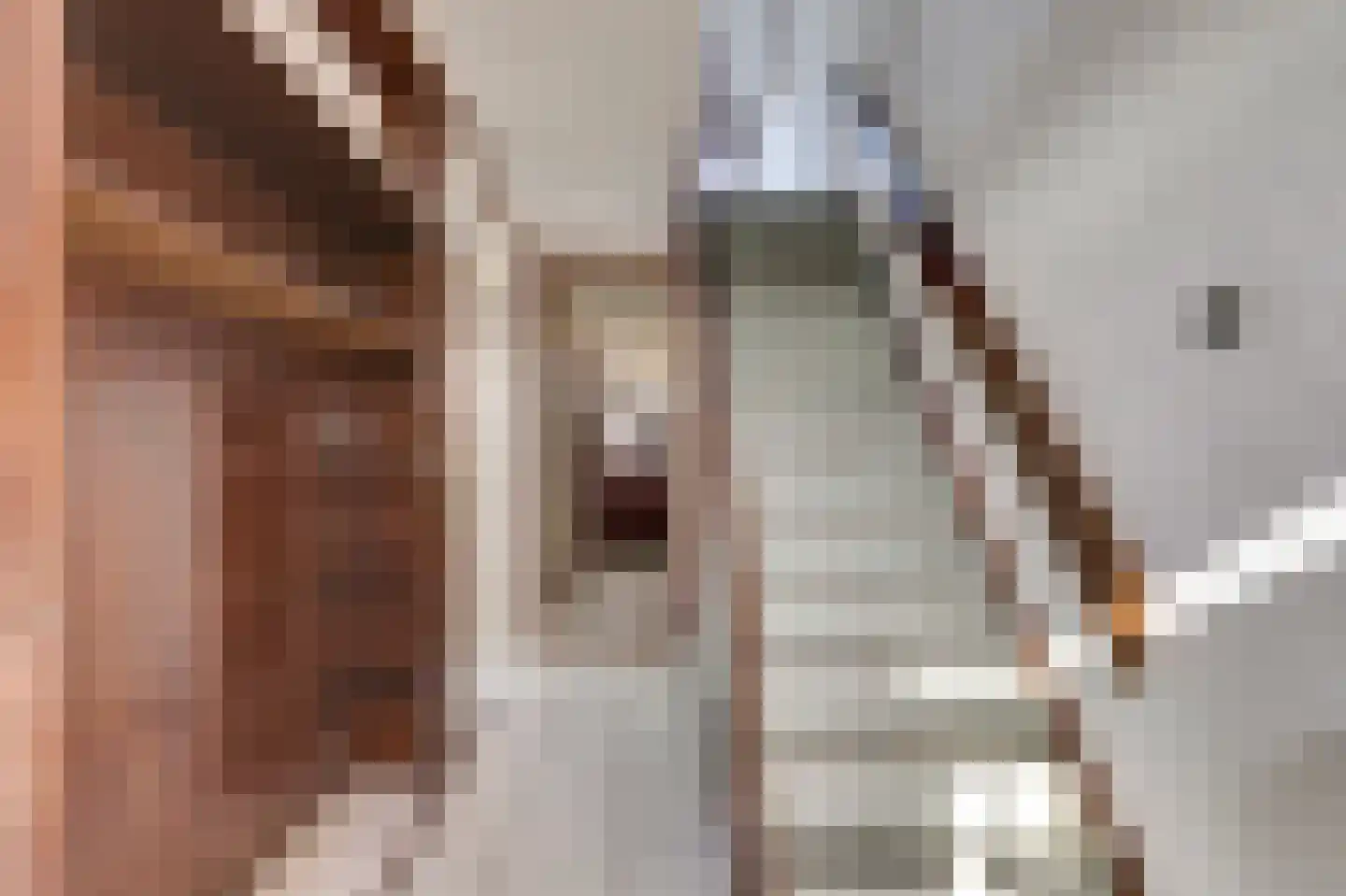 Albert Cuypstraat 14 Ridderkerk thumbnail 8