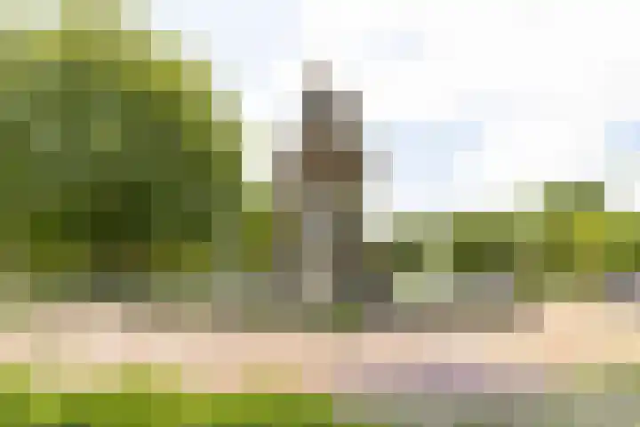 Albert Cuypstraat 153 D Amsterdam thumbnail 27