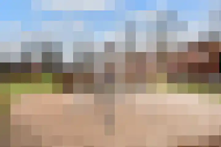 Albert Cuypstraat 16 Woerden thumbnail 36