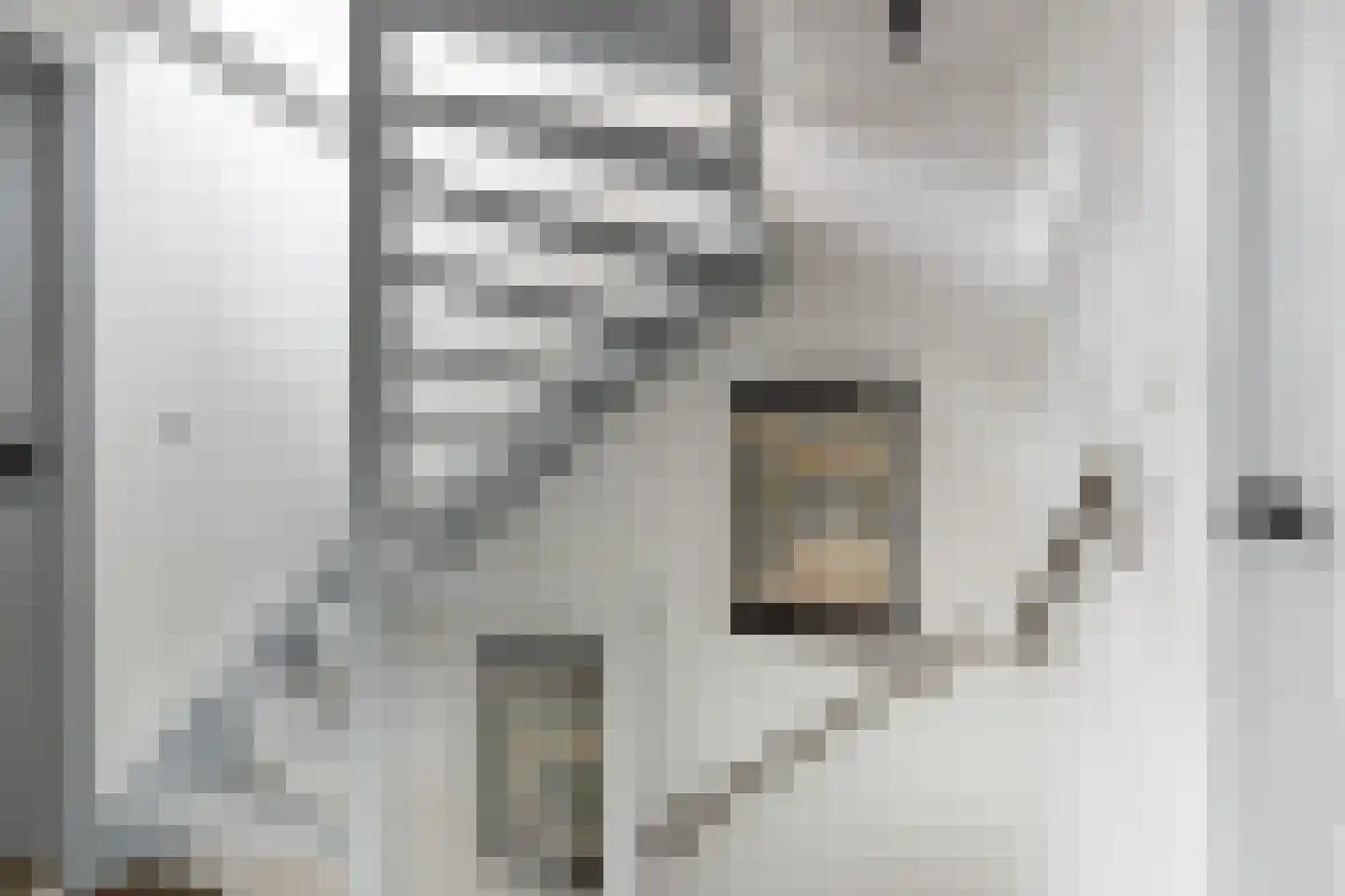 Albert Cuypstraat 18 Woerden thumbnail 20