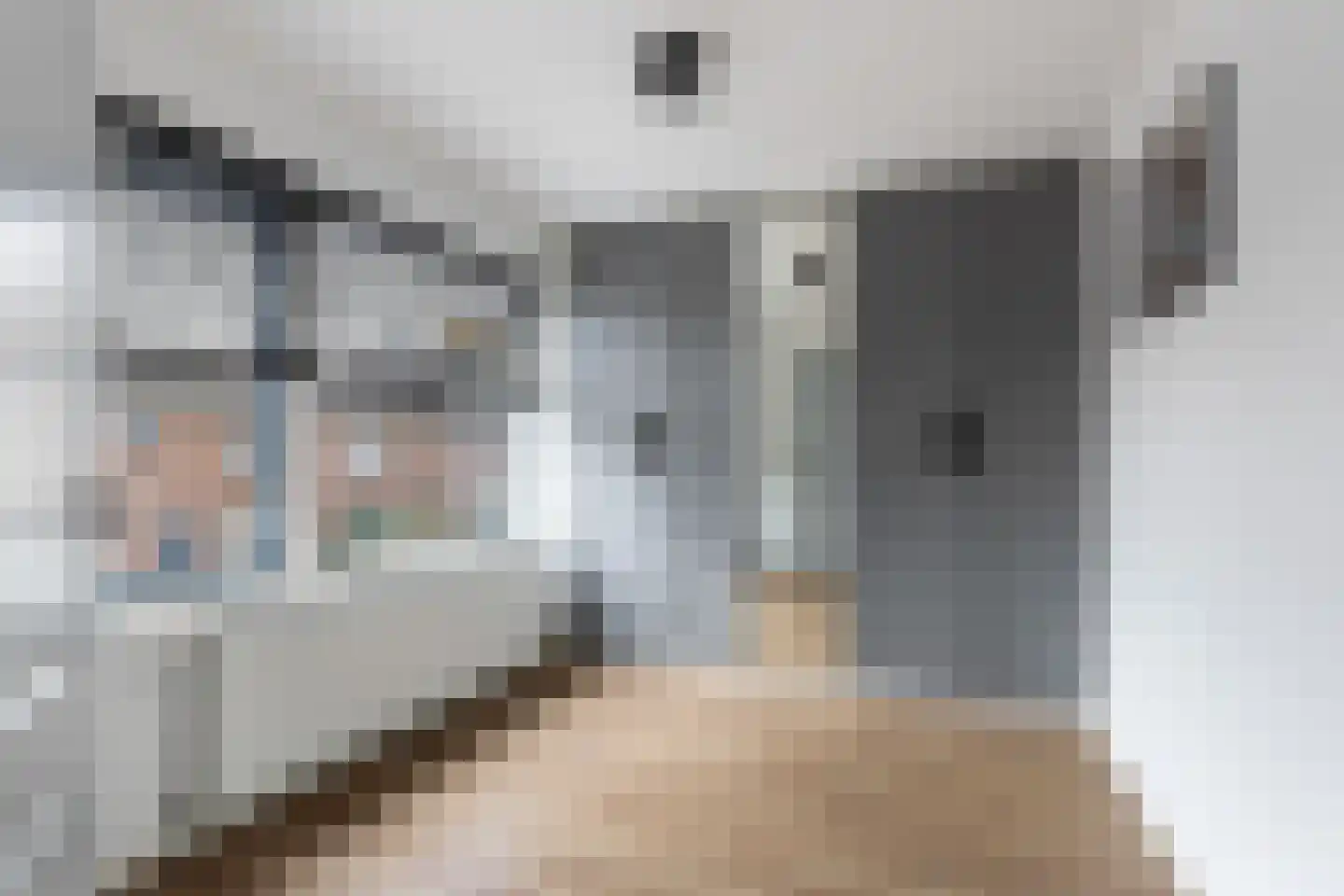 Albert Cuypstraat 18 Woerden thumbnail 23