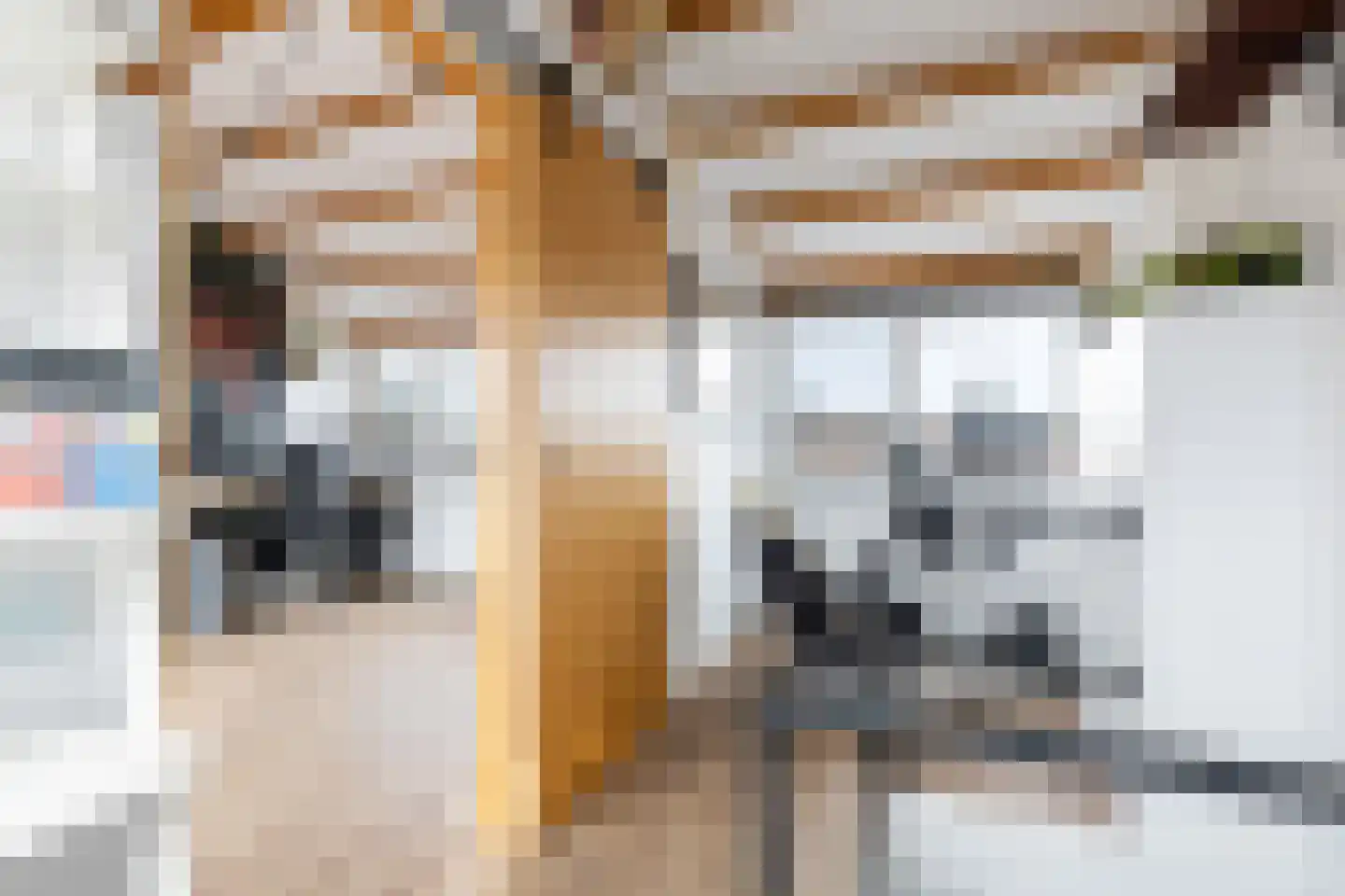 Albert Cuypstraat 18 Woerden thumbnail 29