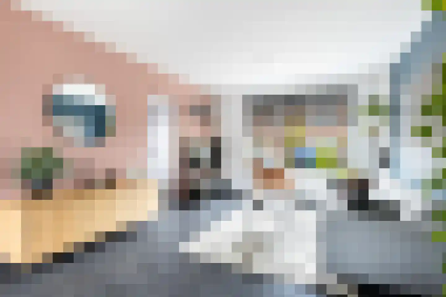 Albert Cuypstraat 18 Woerden thumbnail 4