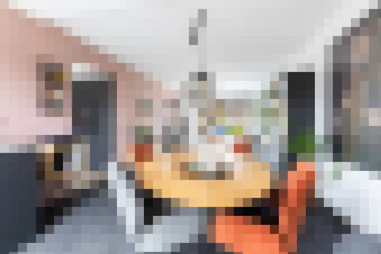 Albert Cuypstraat 18 Woerden thumbnail 9