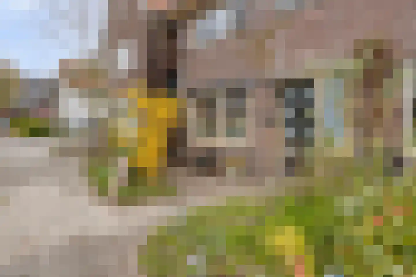 Albert Cuypstraat 19 Zutphen thumbnail 4