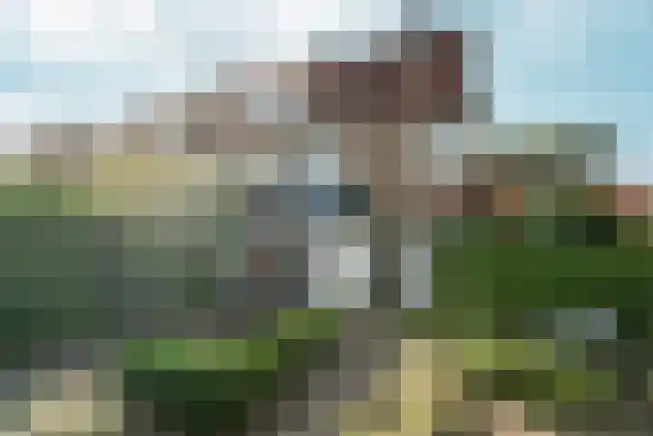 Albert Cuypstraat 2 Arnhem thumbnail 47