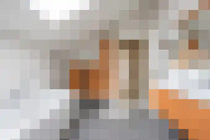 Albert Cuypstraat 2 Kerkrade thumbnail 28