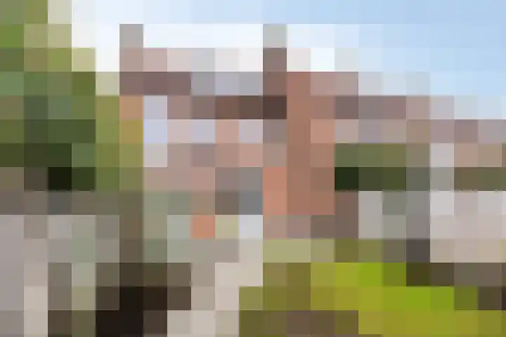 Albert Cuypstraat 20 's-Hertogenbosch thumbnail 16