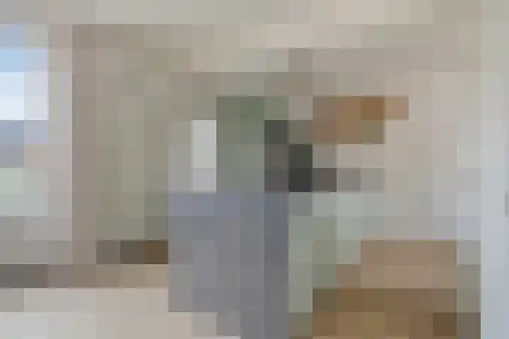 Albert Cuypstraat 20 's-Hertogenbosch foto 2