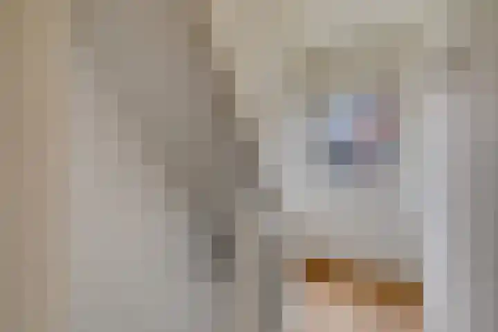 Albert Cuypstraat 20 's-Hertogenbosch thumbnail 25