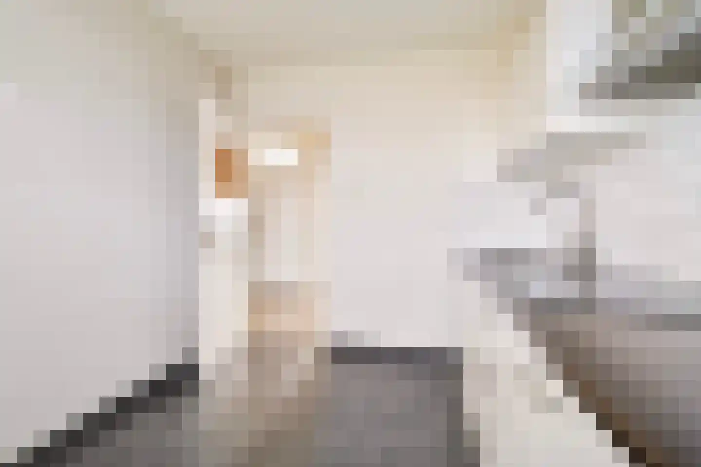 Albert Cuypstraat 202 Venlo thumbnail 10