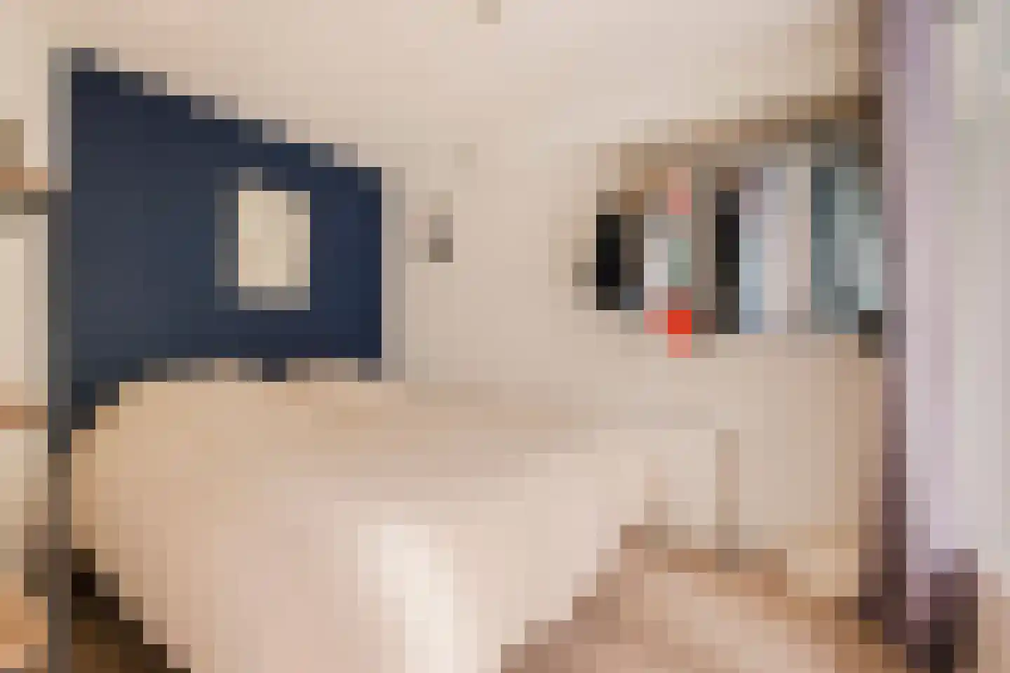 Albert Cuypstraat 204 2 Amsterdam thumbnail 12