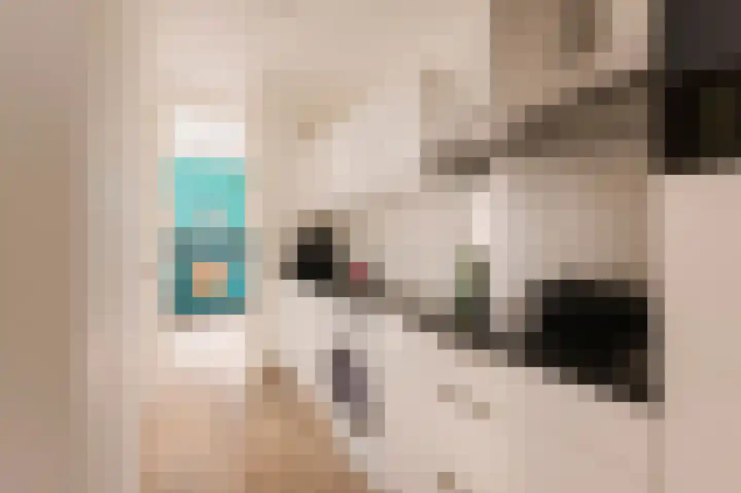Albert Cuypstraat 204 2 Amsterdam thumbnail 9