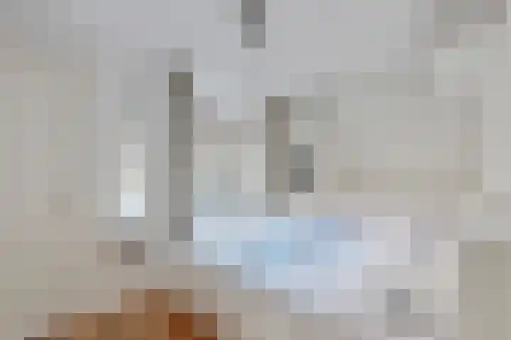 Albert Cuypstraat 209 2 Amsterdam thumbnail 11