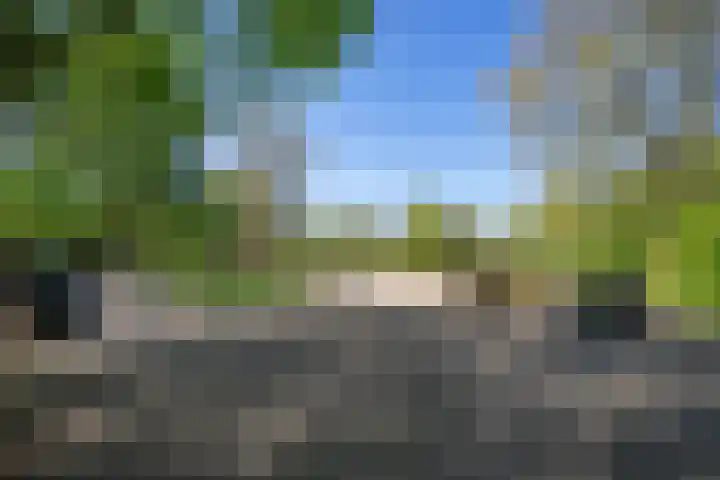 Albert Cuypstraat 209 2 Amsterdam thumbnail 22