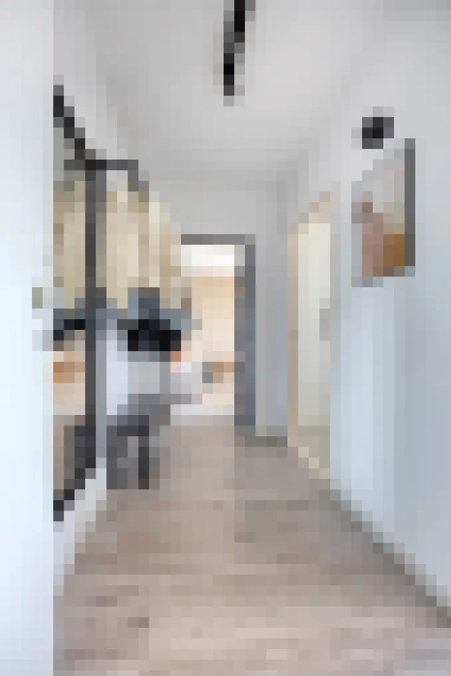 Albert Cuypstraat 21 Capelle aan den IJssel thumbnail 22