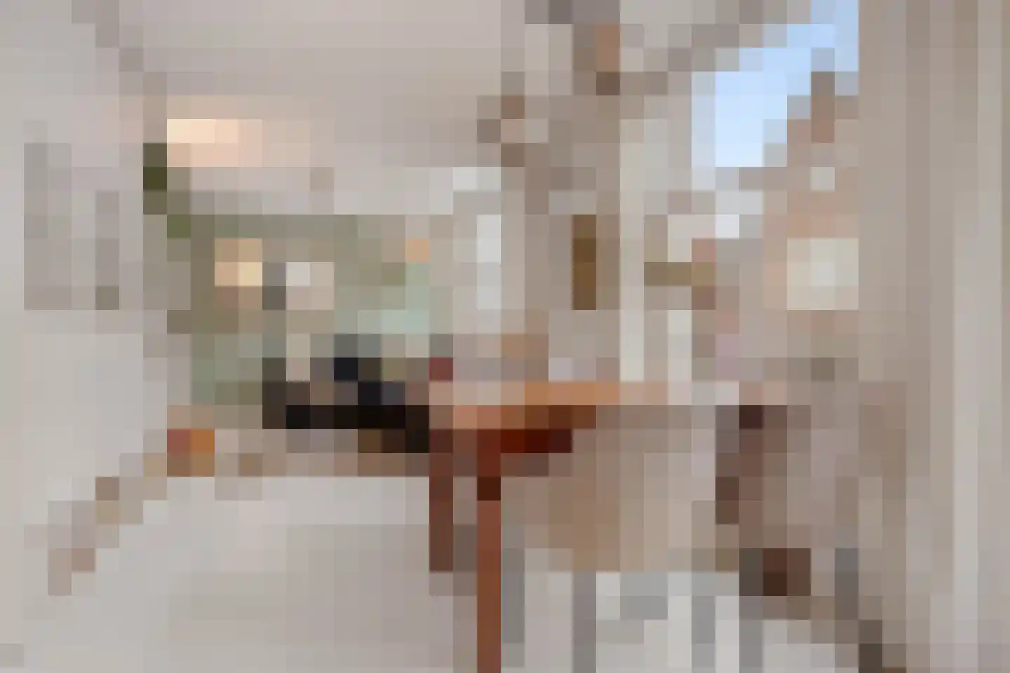 Albert Cuypstraat 238 Amsterdam thumbnail 11