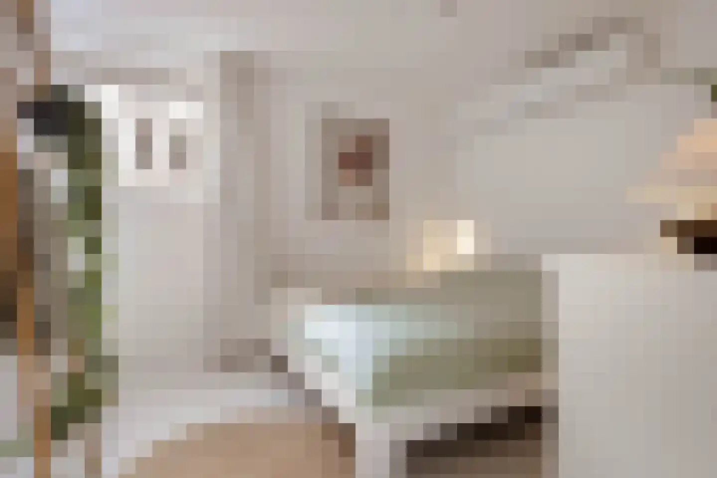 Albert Cuypstraat 238 Amsterdam thumbnail 14