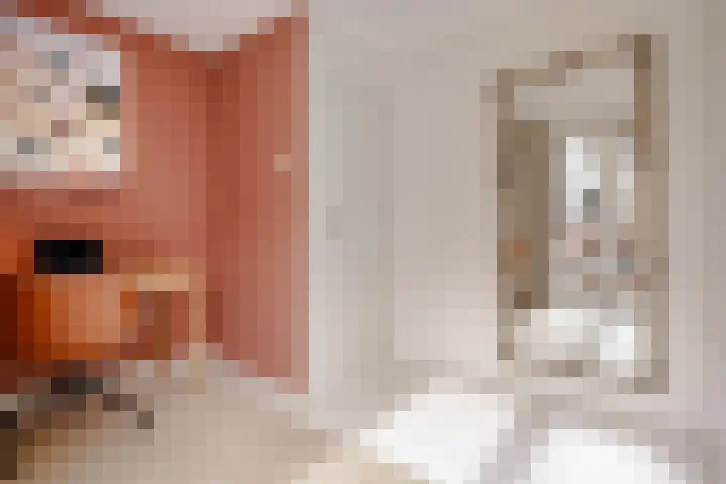 Albert Cuypstraat 238 Amsterdam thumbnail 17