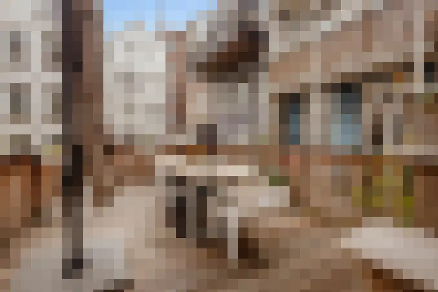 Albert Cuypstraat 238 Amsterdam thumbnail 23