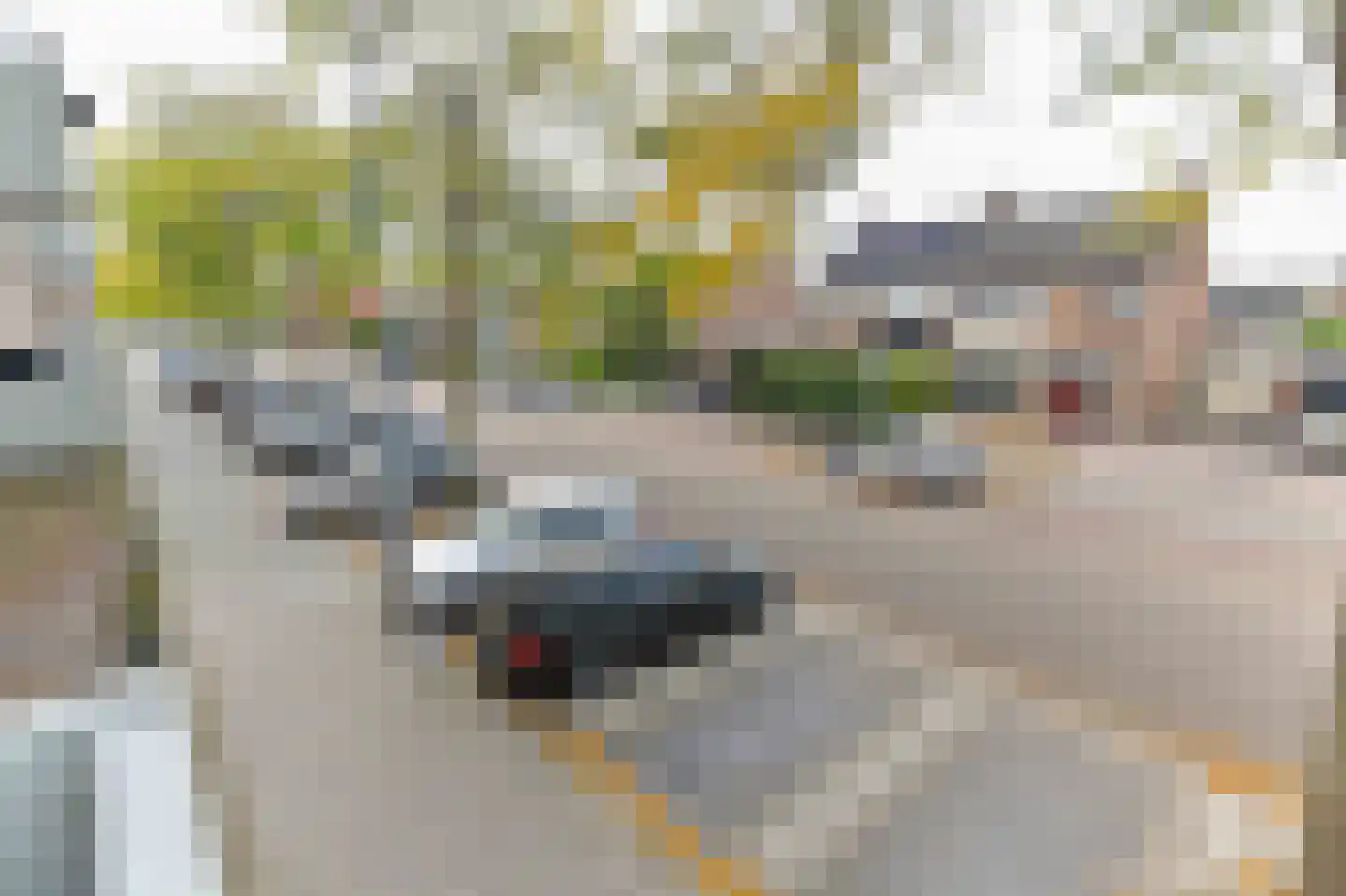 Albert Cuypstraat 248 Venlo thumbnail 16