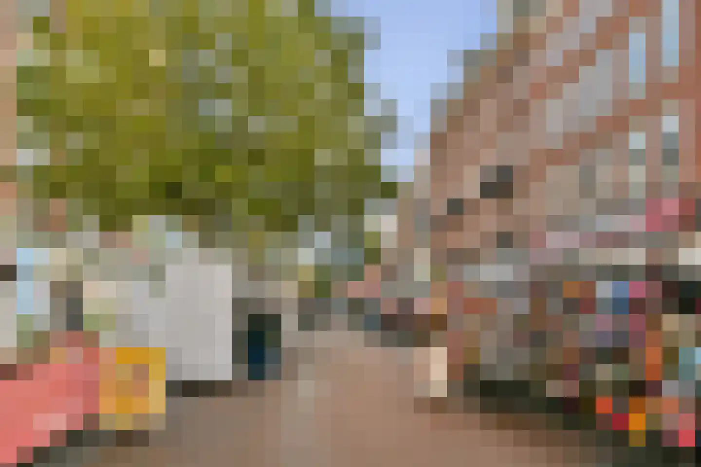 Albert Cuypstraat 258 3 Amsterdam thumbnail 19