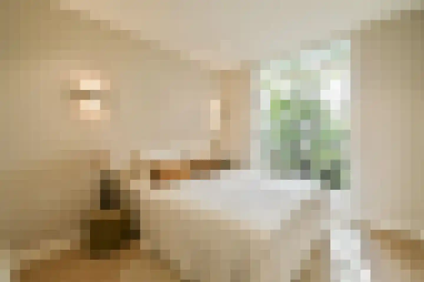 Albert Cuypstraat 258 3 Amsterdam thumbnail 8