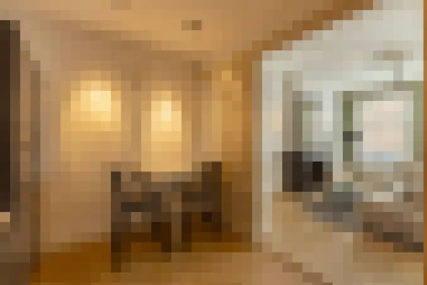 Albert Cuypstraat 274 1 Amsterdam thumbnail 13