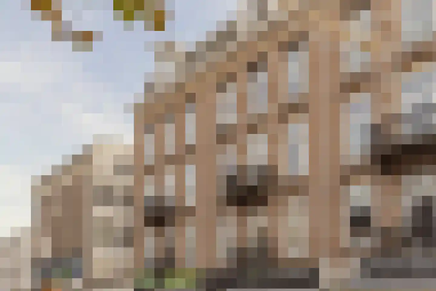 Albert Cuypstraat 274 1 Amsterdam thumbnail 25