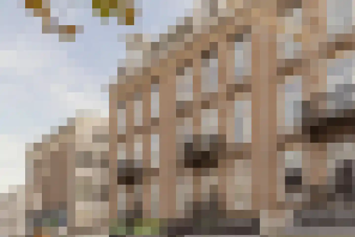 Albert Cuypstraat 274 1 Amsterdam thumbnail 25