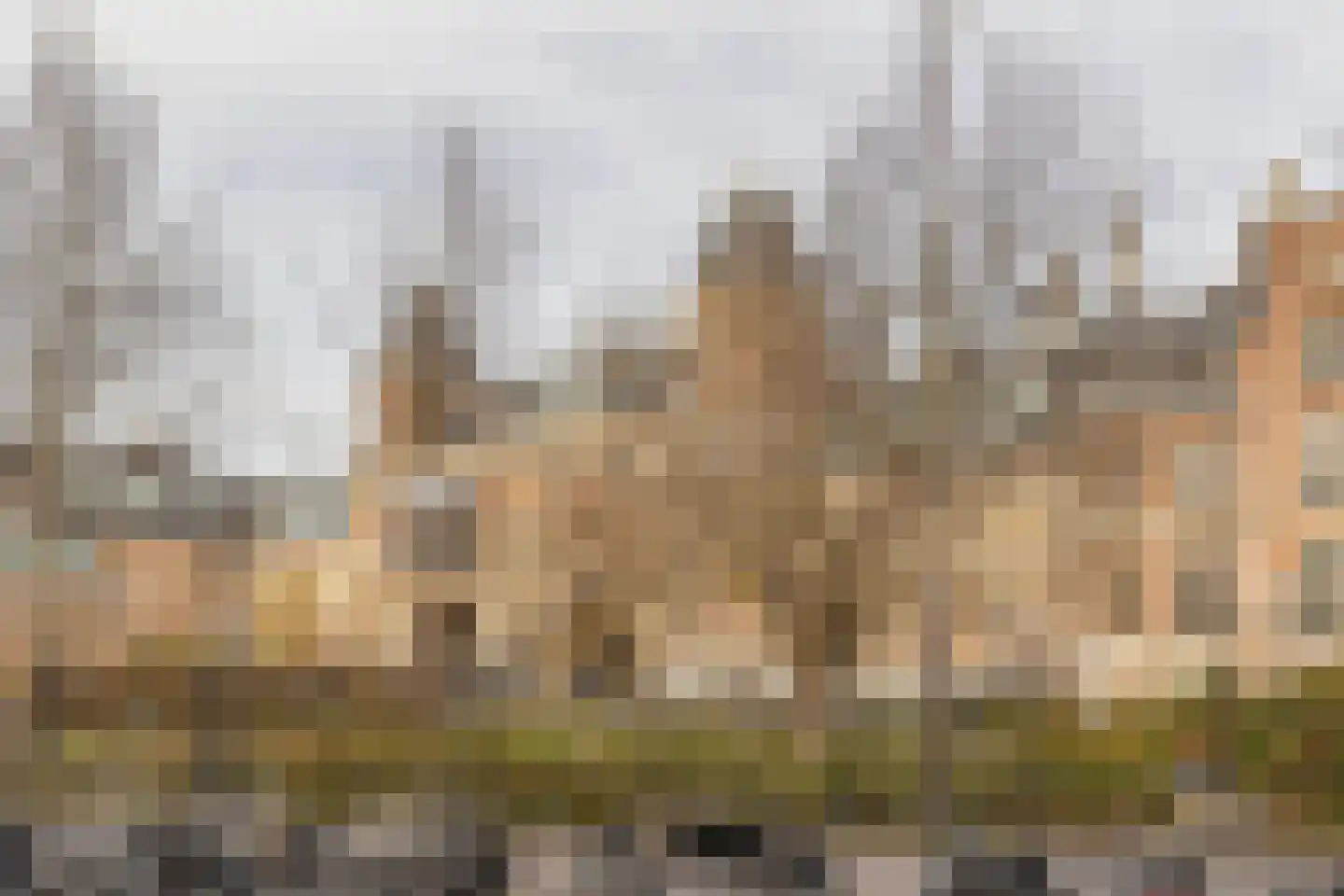 Albert Cuypstraat 274 1 Amsterdam thumbnail 27