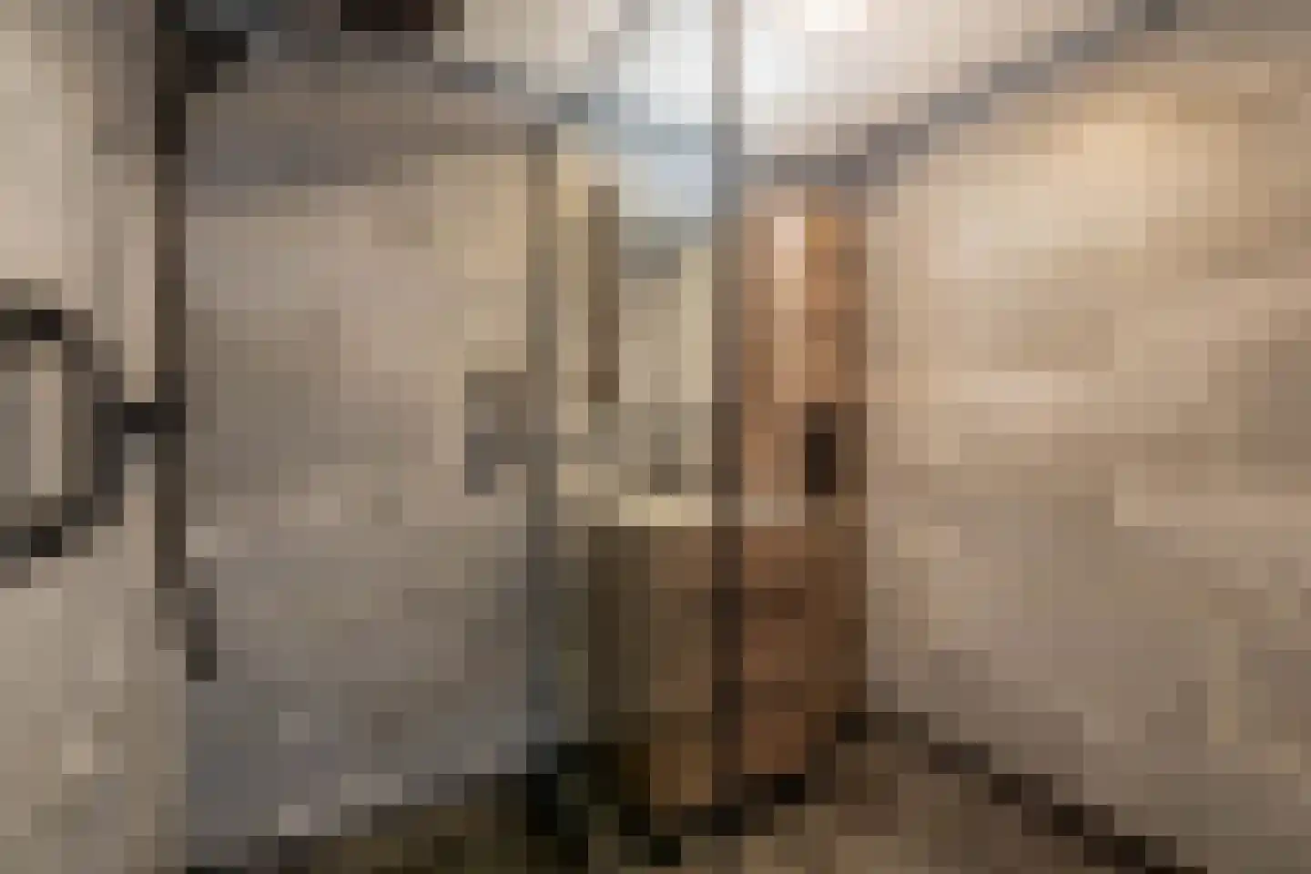 Albert Cuypstraat 292 Venlo thumbnail 24