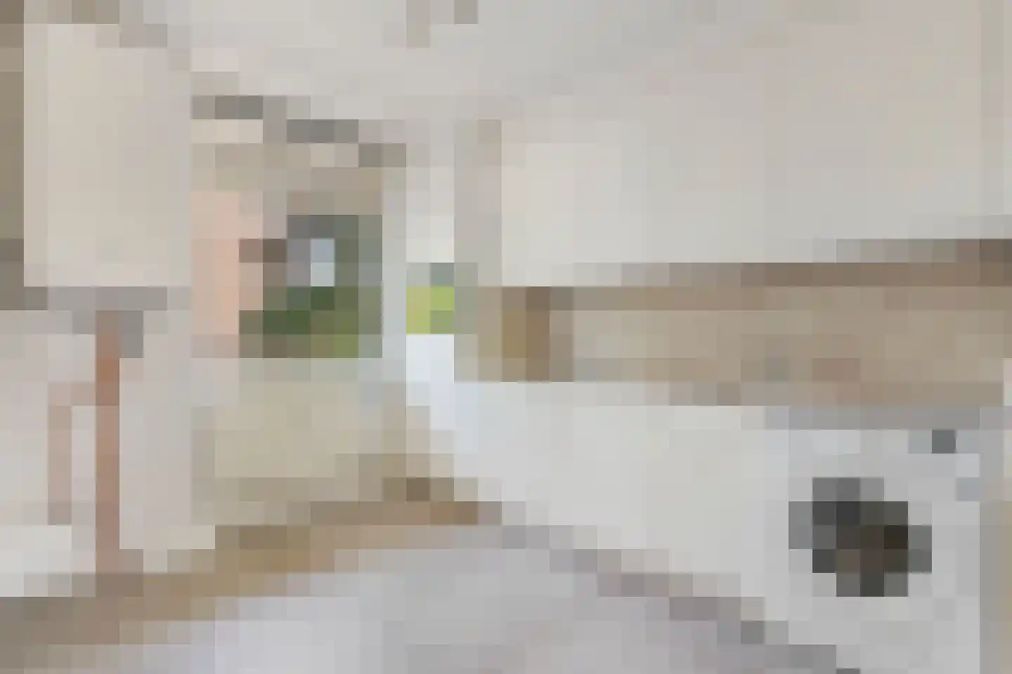 Albert Cuypstraat 296 Venlo thumbnail 9